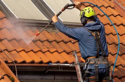 Démoussage et hydrofuge de toiture à Combles